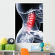 Spinal Backstroke Wall Mural