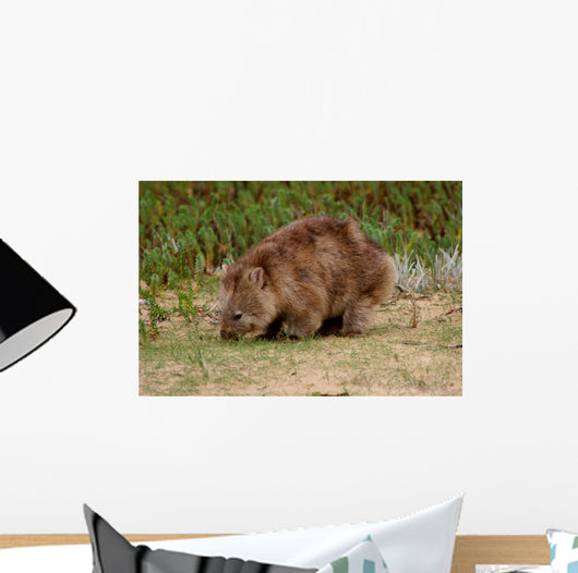 Wombat Wall Mural