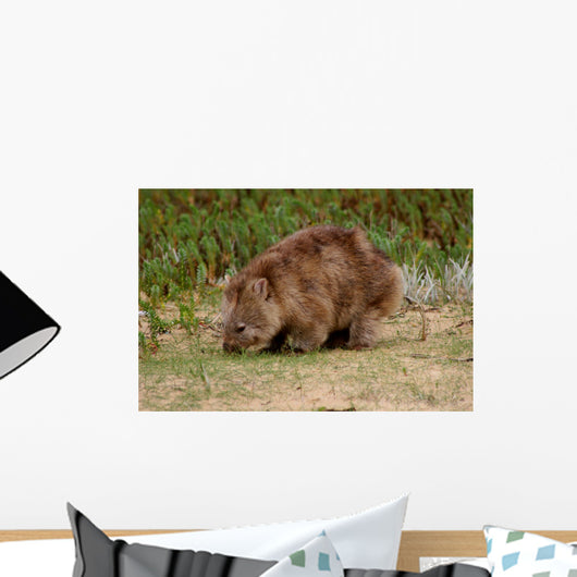Wombat Wall Mural