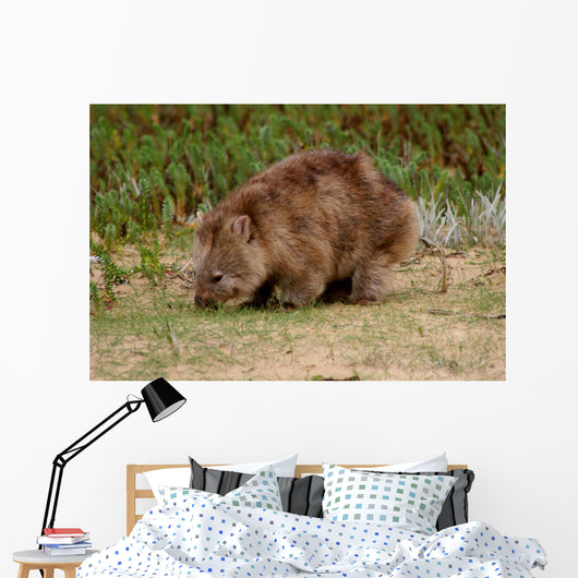 Wombat Wall Mural