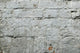 Painted Brick Wall Wall Mural