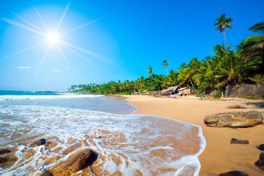 Tropical Beach