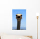 Who are you? Wall Mural