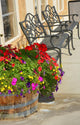 Black Patio Benches Wall Mural
