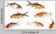 Carp Koi Fish Wall Decal