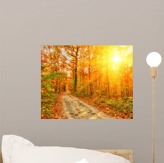 Pathway Autumn Forest