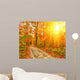 Pathway Autumn Forest