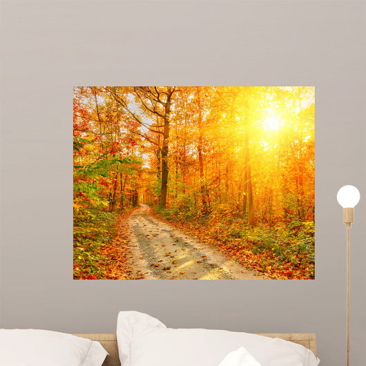 Pathway Autumn Forest