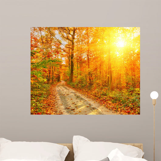 Pathway Autumn Forest