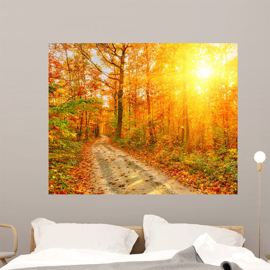 Pathway Autumn Forest