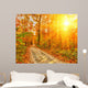 Pathway Autumn Forest