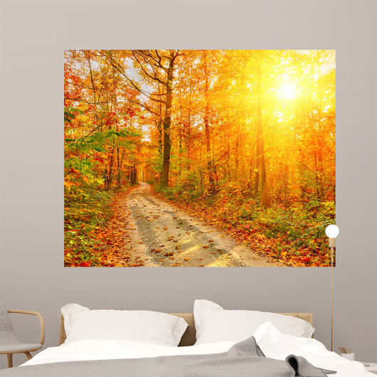 Pathway Autumn Forest