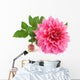 Pink Dahlia White Wall Decal
