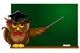 Wise owl Wall Decal