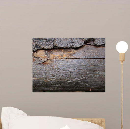 Bark Beetle Streets Wall Mural