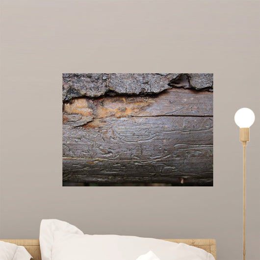 Bark Beetle Streets Wall Mural