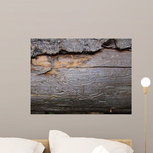 Bark Beetle Streets Wall Mural