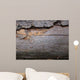 Bark Beetle Streets Wall Mural