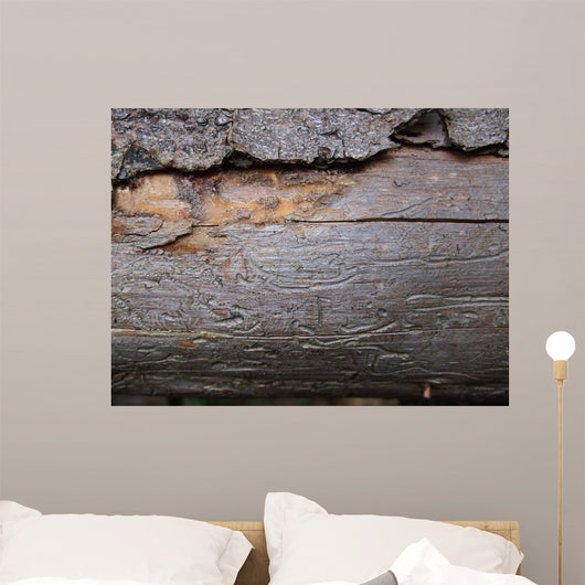 Bark Beetle Streets Wall Mural