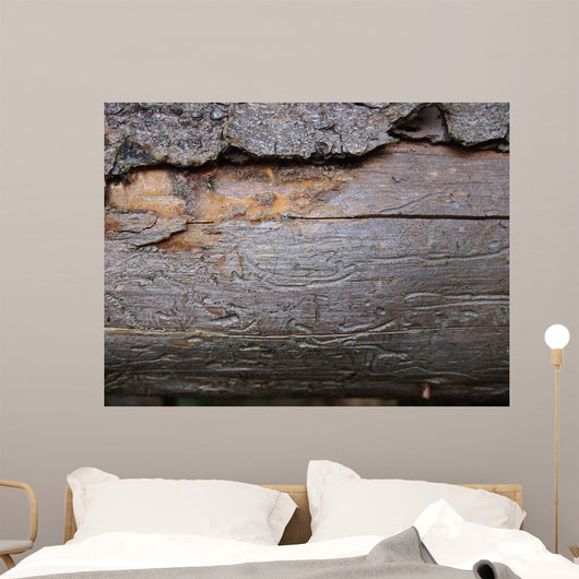 Bark Beetle Streets Wall Mural