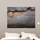 Bark Beetle Streets Wall Mural