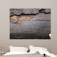 Bark Beetle Streets Wall Mural
