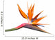 Bird of Paradise Flower Wall Decal
