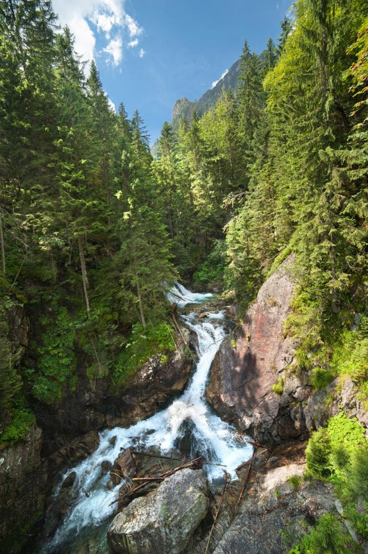Fresh Spring Mountains Wall Mural