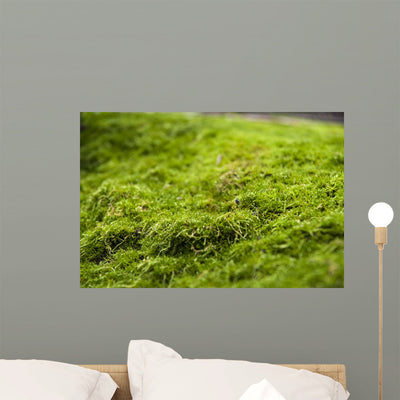 Moss Stone Wall Decal shown on a wall