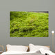 Moss Stone Wall Decal