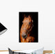 Horse Front Black