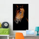 Horse Portrait Mystical