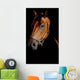 Horse Portrait Mystical