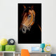 Horse Portrait Mystical