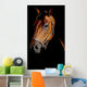 Horse Portrait Mystical