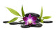 Beautiful orchid and bamboo plant with stacked stones Wall Decal