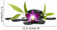 Beautiful orchid and bamboo plant with stacked stones Wall Decal