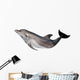 Grey Dolphin White Wall Decal