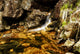 Heskestad Wall Mural