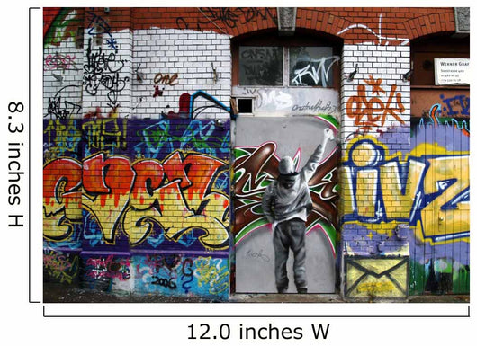 facade and graffiti Wall Mural