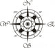 Wind Rose