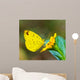 Butterfly Wall Mural