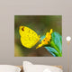 Butterfly Wall Mural