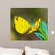 Butterfly Wall Mural
