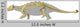 Ankylosaurus Dinosaurs Silhouette with Wall Decal