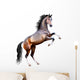 Vector Realistic Bay Horse Rearing up Isolated Wall Decal