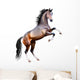 Vector Realistic Bay Horse Rearing up Isolated Wall Decal