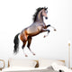 Vector Realistic Bay Horse Rearing up Isolated Wall Decal