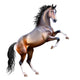 Vector Realistic Bay Horse Rearing up Isolated Wall Decal