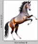 Vector Realistic Bay Horse Rearing up Isolated Wall Decal